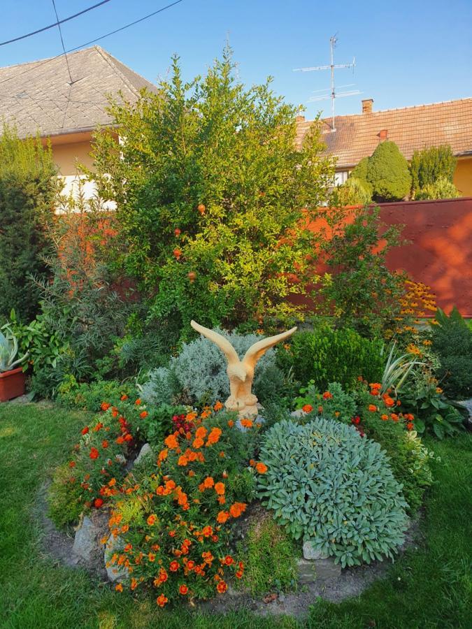 Apartament Privat U Jozefa Foeldesa Veľký Meder Zewnętrze zdjęcie